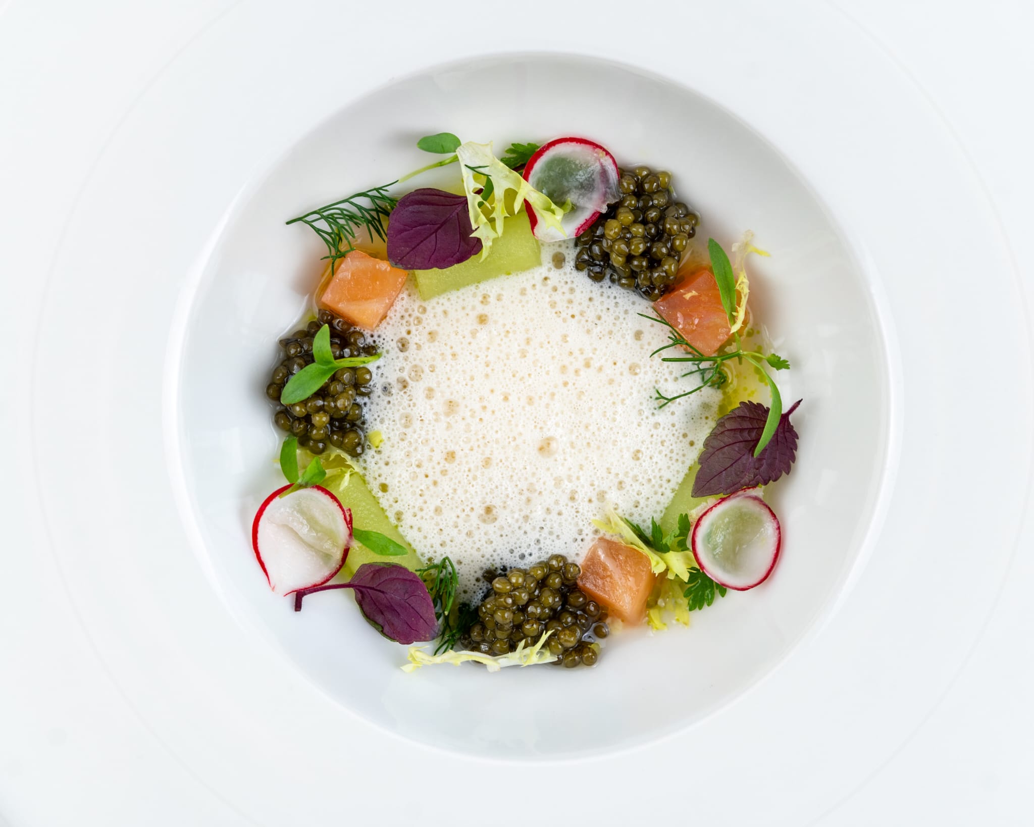 A top-down view of a gourmet food dish, featuring dark caviar, salmon, radishes, and greens arranged in a circle around a frothy white foam center, served on a white plate.