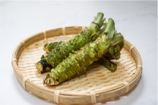 Fresh Japanese Wasabi SHIZUOKA 100～200g