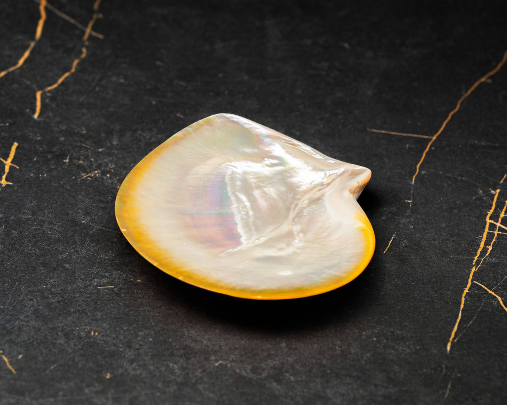 Natural iridescent mother-of-pearl shell used for elegant caviar presentation and serving.