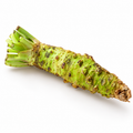Fresh Japanese wasabi root from Azumino, Nagano